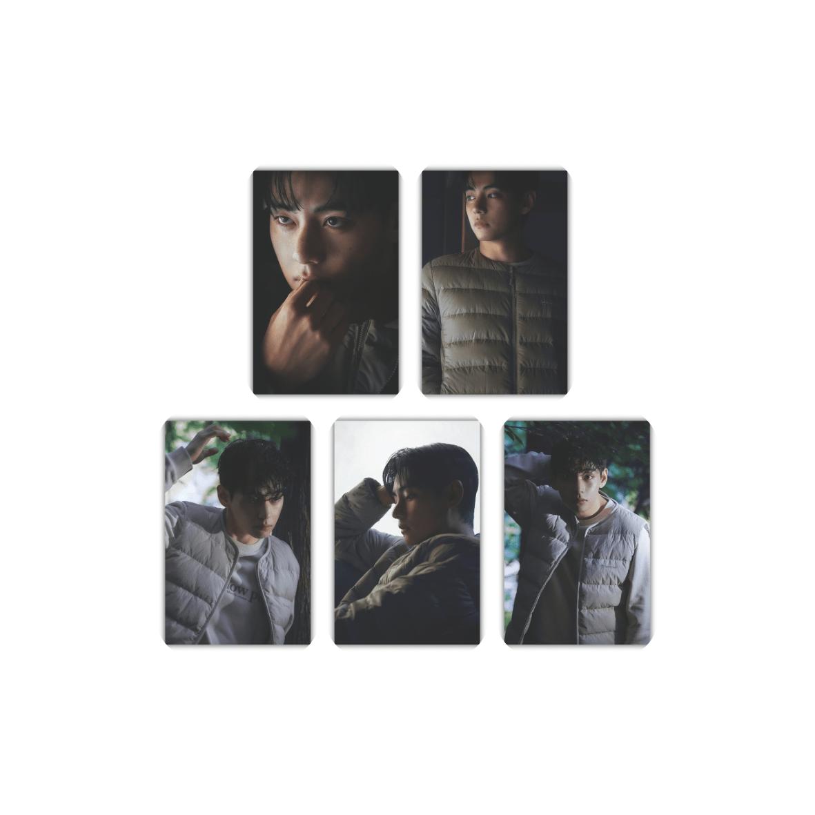 فتوکارت V snow peak
